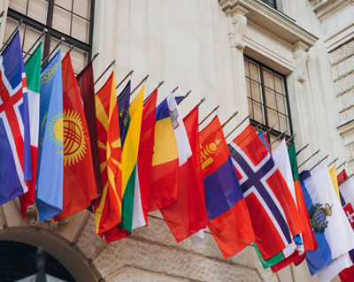 International Organizations and Development Agencies